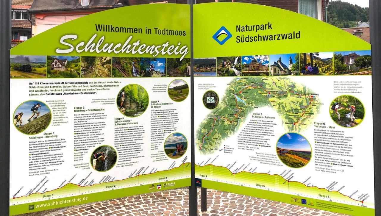 Ferienwohnung Schwarzwald Todtmoos Exterior foto